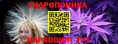 дживик Дубна