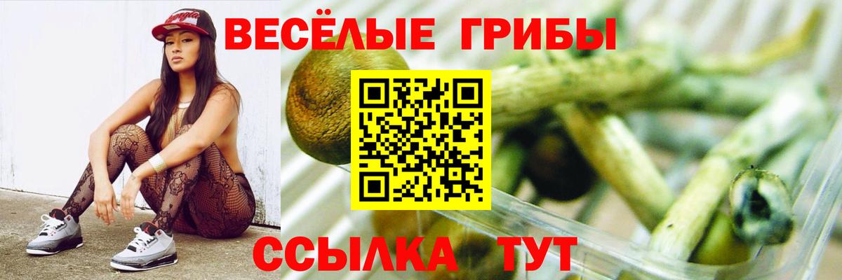 Галлюциногенные грибы MAGIC MUSHROOMS Малоярославец