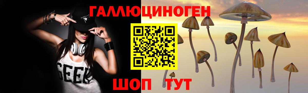 Малоярославец  Псилоцибиновые грибы прущие грибы  Вход с VPN  Псилоцибиновые грибы Psilocybine cubensis 